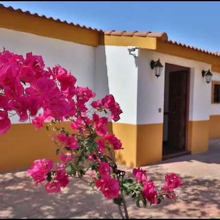 La Cigarra